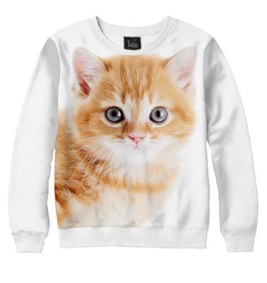 Свитшот Рыженький котик