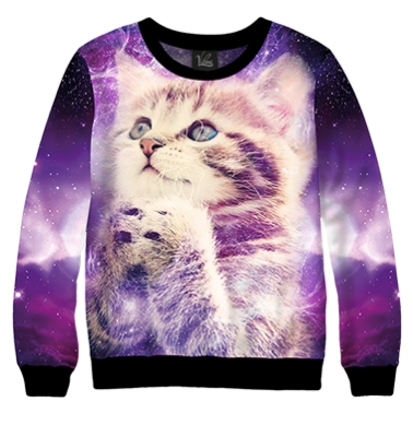 Свитшот Space Cat